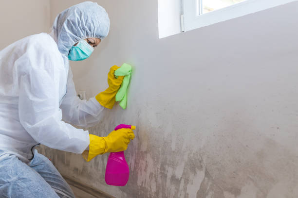 Mold Removal for HVAC Installations in Presidio, TX